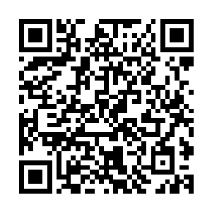 这件软甲便是我们利用在封印之地找到的那些异兽制作而成的二维码生成