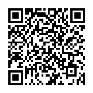 这份底蕴也只有同为大帝宗门的幽魂宫和影杀殿能比了二维码生成