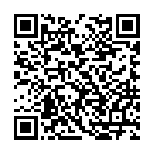 这份战报一经手就呈递给当值的严阁老和徐阁老了二维码生成