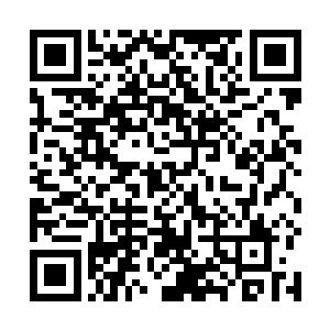这份荣耀足够她狠狠在那些讽刺她的人脸上扇一巴掌了二维码生成