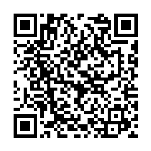 这份视觉冲击让得在场的所有人心神久久不能平静二维码生成