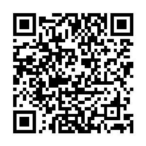 这仿佛是一个典型的美洲大陆中西部的红土大荒原的感觉二维码生成