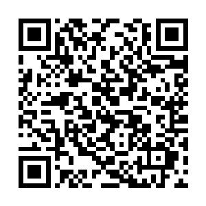 这伙人里面有一半都是喝醉了被同事架着走出来的二维码生成