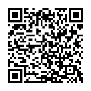 这会不利用一下它还当真对不起我一路将它抱来二维码生成