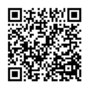 这会人们已经开始自发地去救那些还能□□的人二维码生成