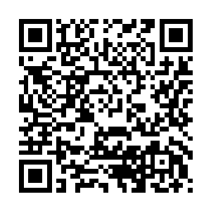 这会儿也不要求她们使用自己这边携带的手动高精度狙击步枪二维码生成