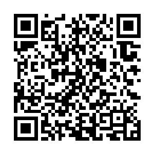这会儿他们倒是将拳神传授的各种奇功绝艺统统施展出来了二维码生成
