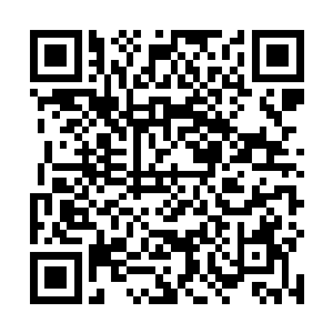 这会儿我便看到呆爷拿出了一个足足有大腿粗细的炮筒二维码生成