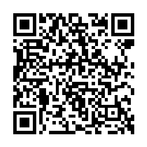 这会儿纯粹当成雏鸟出壳看见的大鸟一般依赖了二维码生成