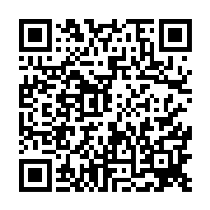 这会儿觉哥自然已经把今天白天的事情都告诉队友们了二维码生成