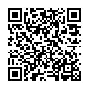 这会儿还能隐约看到张露裤子口袋里鼓起的那叠钱二维码生成