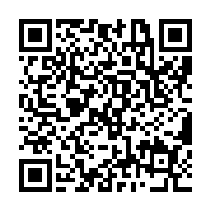 这伤是当年随着王爷一起征讨南疆龙山十八洞的时候留下的二维码生成