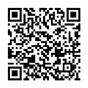 这伪罡气领域的力量立即被削弱到了一个极致的二维码生成