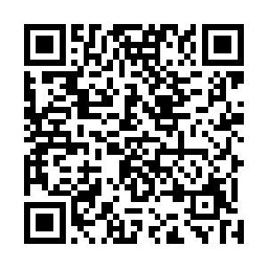 这似乎是这只超级海兽即将要进行的更深一层进化的方向二维码生成