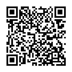 这似是多少万年来与道门长期抗衡的压力锻炼出来二维码生成