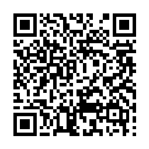 这位一直被自己欣赏喜爱的作家竟然是自己的学生二维码生成