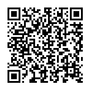 这位三衙太尉的底气让他不屑于全盘接受一个谨小慎微的幕僚的顾虑二维码生成