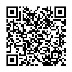 这位二管家已经是在唐家卧底中身份最高的一位了二维码生成
