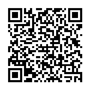 这位全美国人民的傻大姐迎来了事业的第三次全盛时期二维码生成