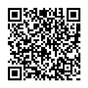 这位军团长可以将凌霄大将留给23军的不败军魂用心继承下来二维码生成