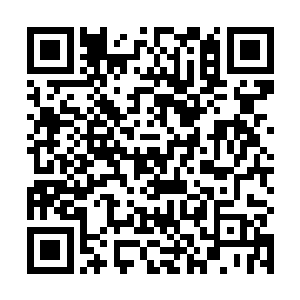 这位军方将军正在听取着基地内机甲项目负责人的汇报二维码生成