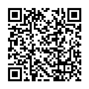 这位刚刚上位的警察局长脾气比以前马局长还操蛋二维码生成