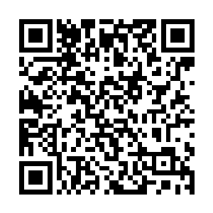 这位刚刚获得血冥组织博士称号的科学家又叹了口气二维码生成