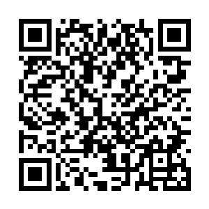 这位卫生厅厅长自然也就跟洪文景的联系多了起来二维码生成
