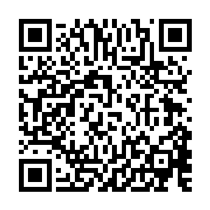 这位古老皇者模糊的面孔现出了一双承载着无数文明兴盛又毁灭二维码生成