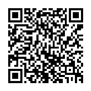 这位可是整个南域乃至整个星界青年未婚男子最想追求的对象了二维码生成