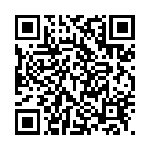 这位叶家的老祖宗已经越过李家众人二维码生成