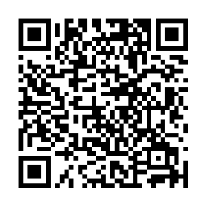 这位名字吓人的龙小哥显然是什么武学世家出来的二维码生成