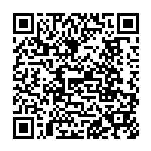 这位喜欢到处乱跑的领主经常爱用化名几乎已经成为众人默认的事实二维码生成