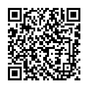 这位外形帅气的明星上单选手最近贾克斯玩得很是称手二维码生成