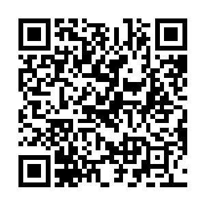 这位大人能够以四重天修为爆发出超过圣域巅峰的实力二维码生成
