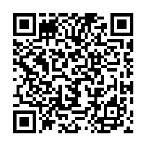 这位宋管家……臣怀疑……就是……就是当日那个人……二维码生成