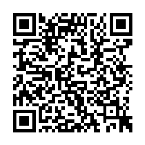 这位导演右手抓着一只外貌极其邪恶的机械乌贼二维码生成