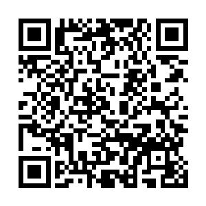 这位小学一年级的小女生还萌萌的眨着小圆眼问这个问题二维码生成