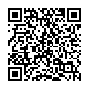 这位少主掉进一百多米深的山洞里连块油皮都没擦破二维码生成