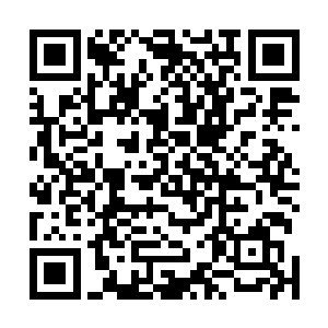 这位就是传说中那位大陆上唯一的宗师级炼药师容云大师二维码生成