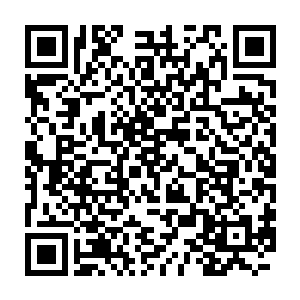 这位就是新仙桃村代理村长雷欢喜同志和他的搭档村支书齐志成同志二维码生成
