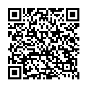 这位就是要迎娶天凤一族当代族长夏惜君的扶游志扶公子二维码生成