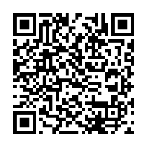 这位应该是传闻中和总镇大人有过绯闻的那一位吧二维码生成