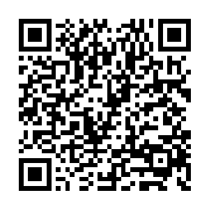 这位张助就是当初秦宇前往梵蒂冈的导游张可儿二维码生成