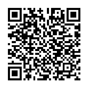 这位想来就是那个传说中极好伺候又极难伺候的马龙大人了二维码生成