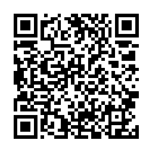 这位是从英国伦敦时期便跟着自己的摄影师杰克－斯克特二维码生成