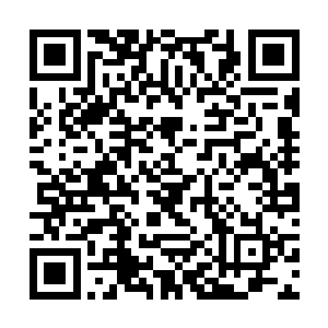 这位是艾尔独立军旗下的突进机甲团团长崔云轩……二维码生成