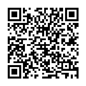 这位曾经在天林学院的武将系以前三名毕业的天才二维码生成