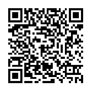 这位有着副厂长之称的老牌打野情绪难免有些低落二维码生成