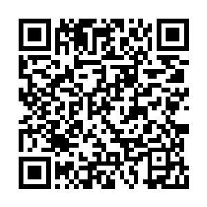 这位有福共享的大当家拎一柄斧头指了指鱼幼薇二维码生成